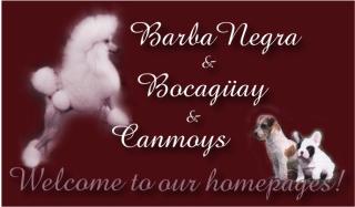 Link to Canmoy's