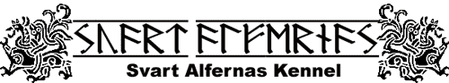 Link to Svart Alfernas