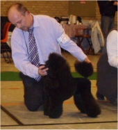 Click on picture to see me Move in the ring